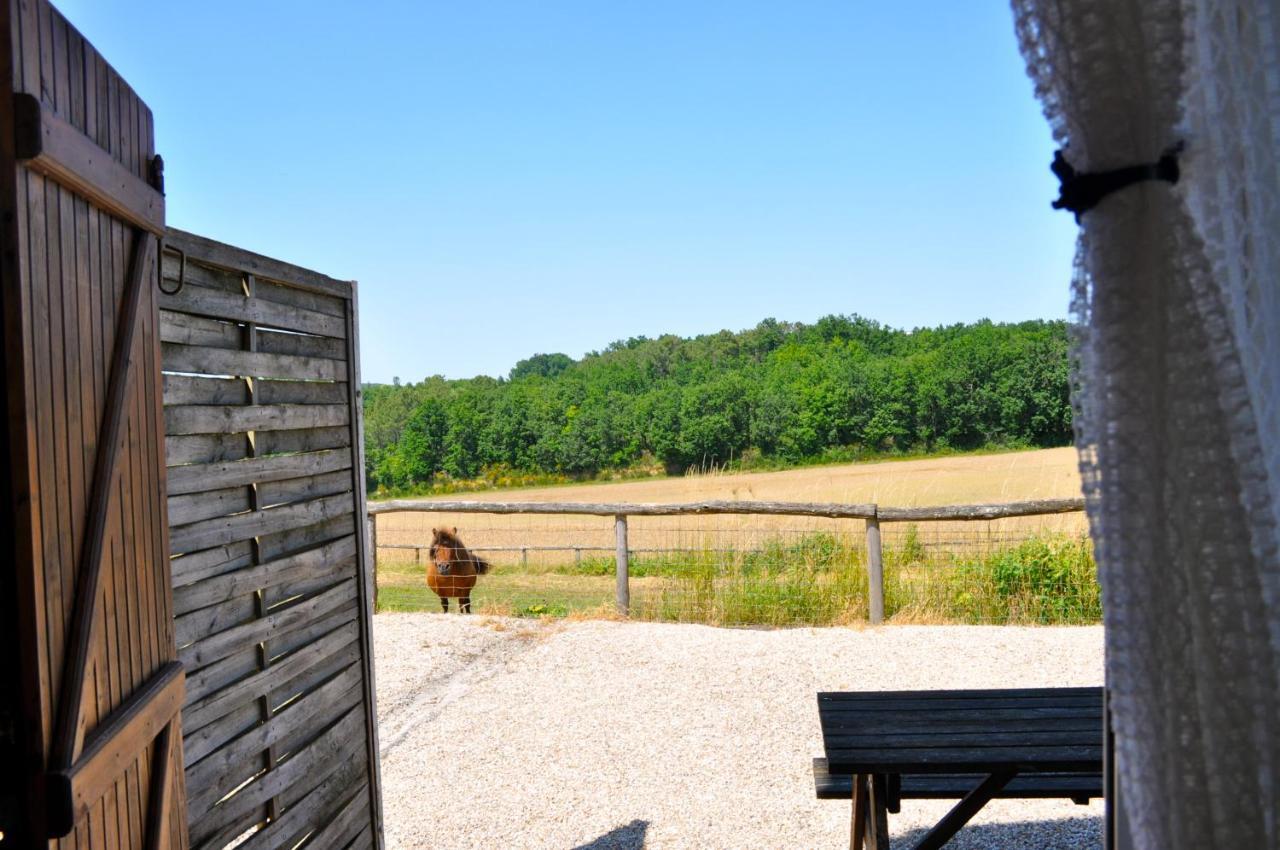 La Ferme Couderc Castelnaud-de-Gratecambe Exterior photo